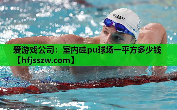 爱游戏公司：室内硅pu球场一平方多少钱