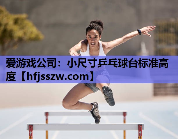 爱游戏公司：小尺寸乒乓球台标准高度