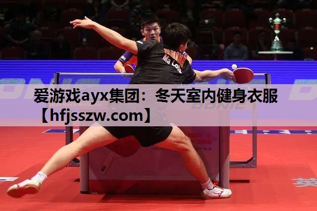 爱游戏ayx集团：冬天室内健身衣服