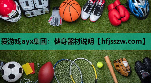 爱游戏ayx集团：健身器材说明