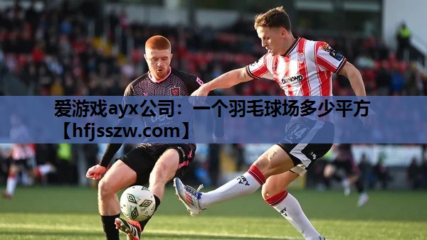 爱游戏ayx公司：一个羽毛球场多少平方