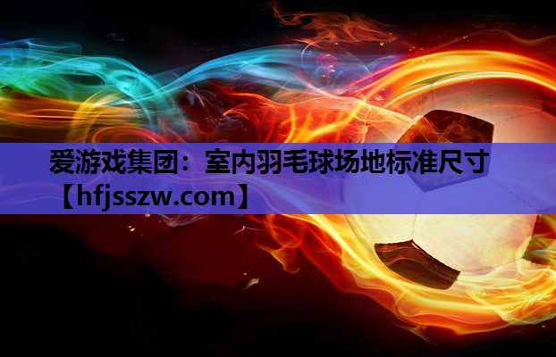 爱游戏集团：室内羽毛球场地标准尺寸
