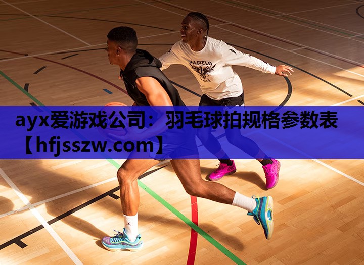 ayx爱游戏公司：羽毛球拍规格参数表