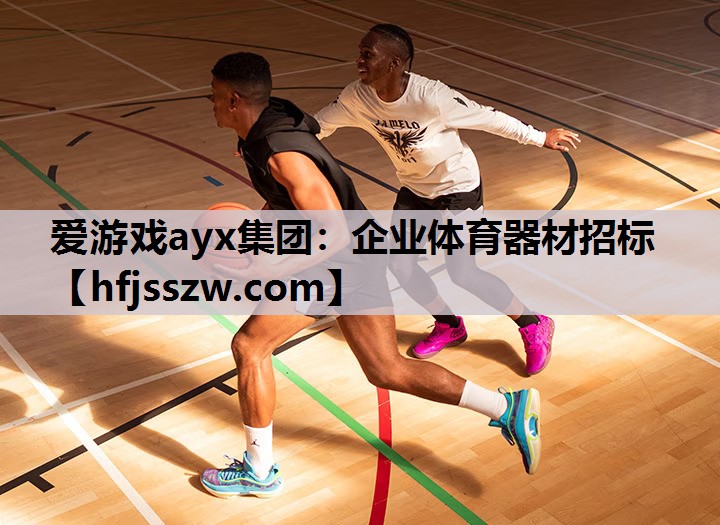 爱游戏ayx集团：企业体育器材招标