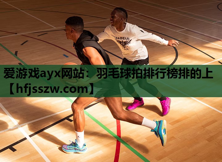 爱游戏ayx网站：羽毛球拍排行榜排的上