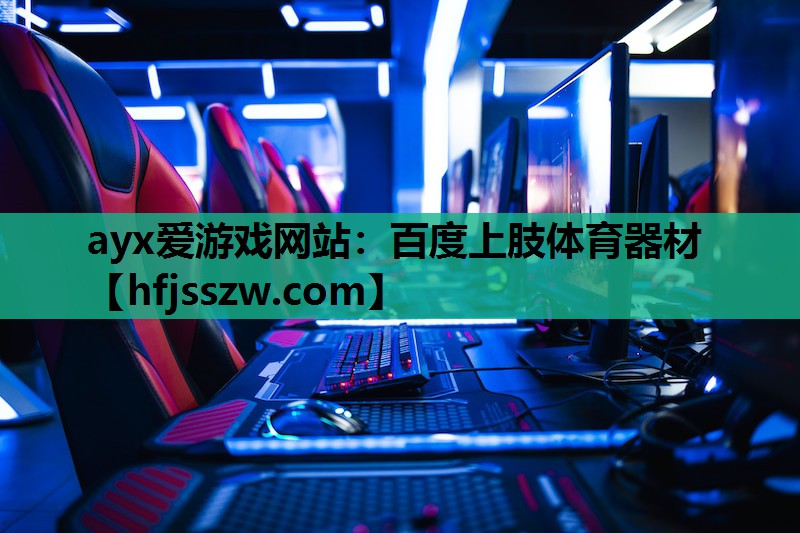 ayx爱游戏网站：百度上肢体育器材
