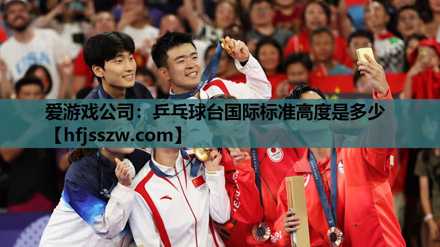 爱游戏公司：乒乓球台国际标准高度是多少