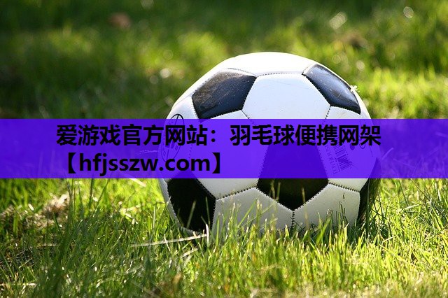 爱游戏官方网站：羽毛球便携网架