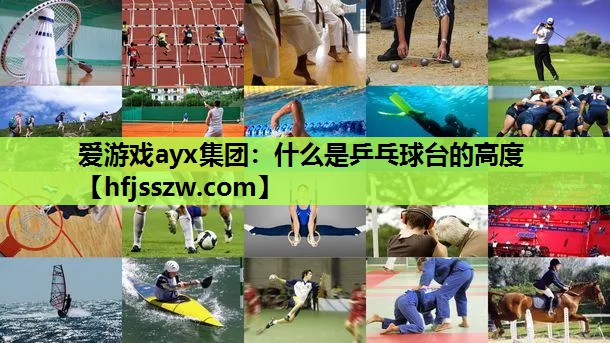 什么是乒乓球台的高度