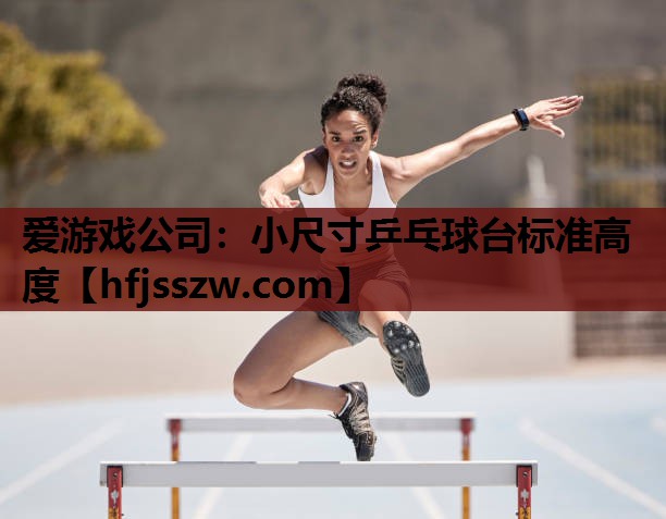 小尺寸乒乓球台标准高度