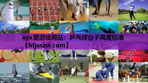 乒乓球台子高度标准