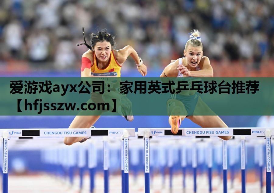 家用英式乒乓球台推荐