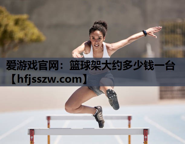 篮球架大约多少钱一台