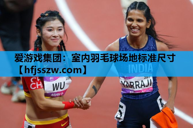 室内羽毛球场地标准尺寸