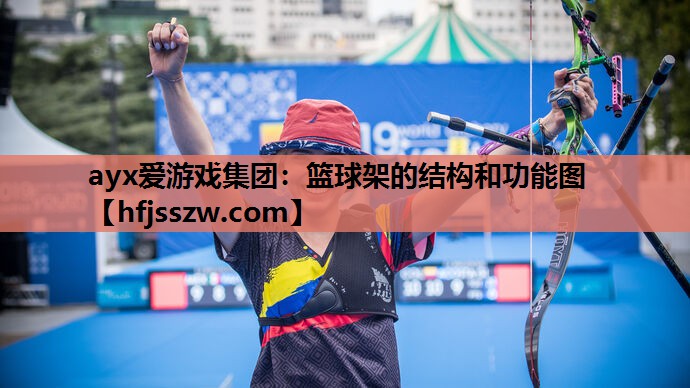 篮球架的结构和功能图
