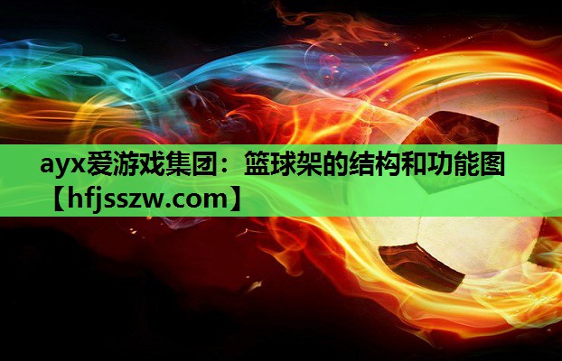 篮球架的结构和功能图