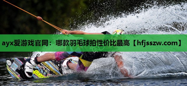 哪款羽毛球拍性价比最高