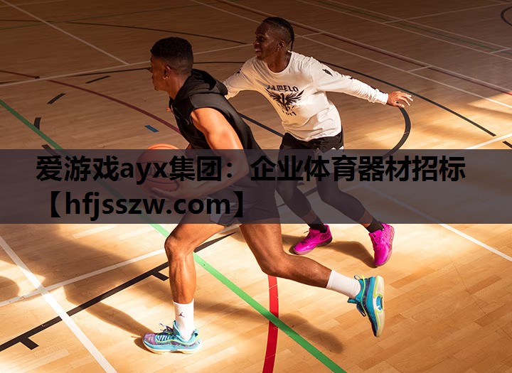 企业体育器材招标