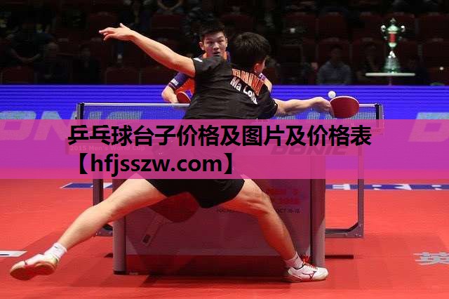 乒乓球台子价格及图片及价格表