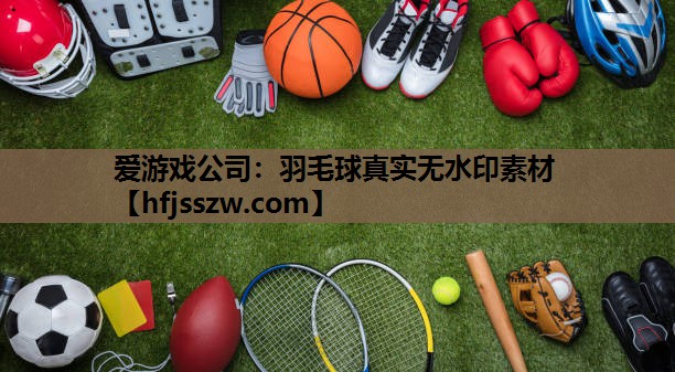 羽毛球真实无水印素材