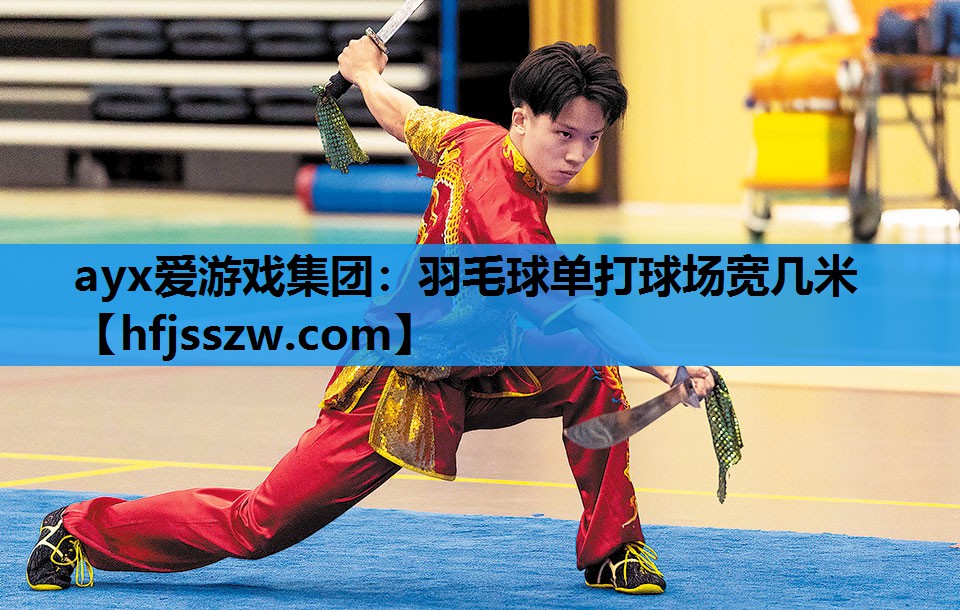 羽毛球单打球场宽几米
