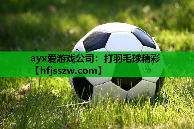 打羽毛球精彩