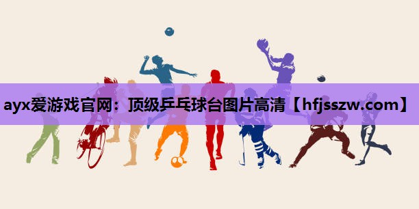 顶级乒乓球台图片高清