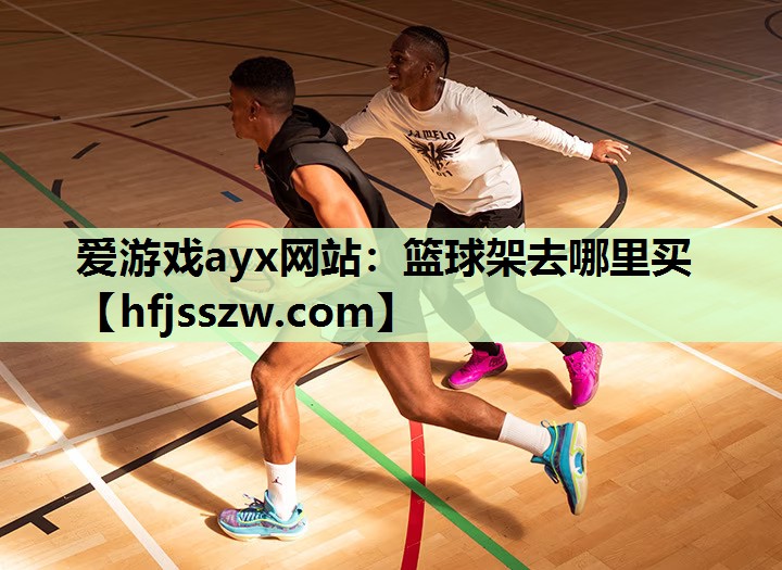 篮球架去哪里买