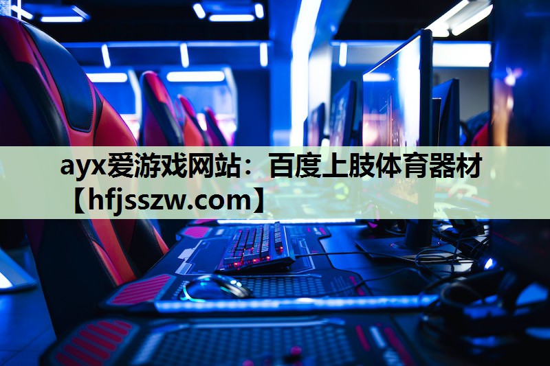 百度上肢体育器材