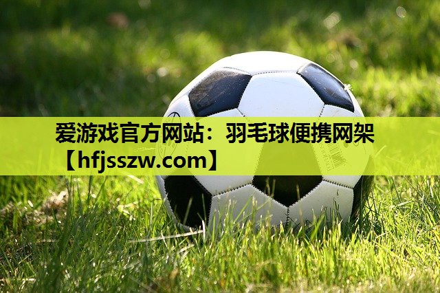 羽毛球便携网架