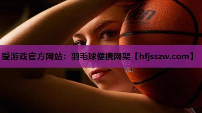 羽毛球便携网架
