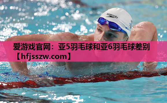 亚5羽毛球和亚6羽毛球差别
